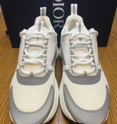 Dior B22 Sneaker white Grey