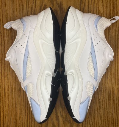 Dior B22 Sneaker white Grey