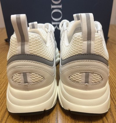 Dior B22 Sneaker white Grey