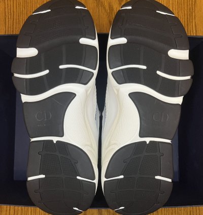 Dior B22 Sneaker white Grey
