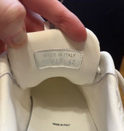 Dior B22 Sneaker white Grey