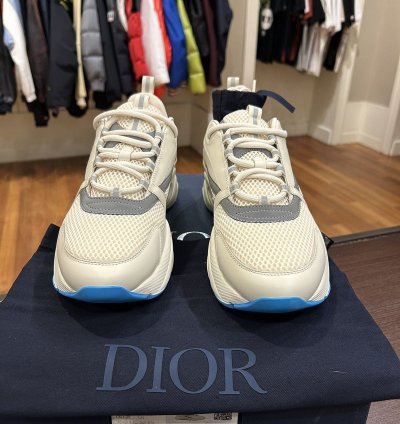 Dior B22 Sneaker -white