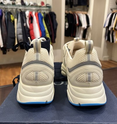 Dior B22 Sneaker -white