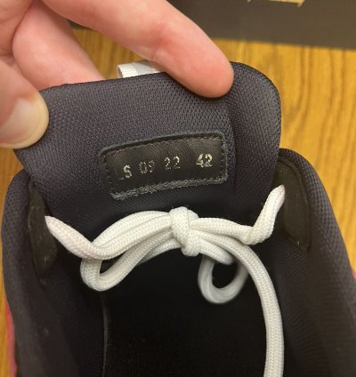 Dior B22 Sneaker Burgundy Gold