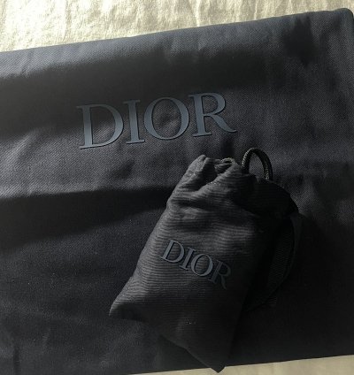 Dior B22 Sneaker Ice Blue