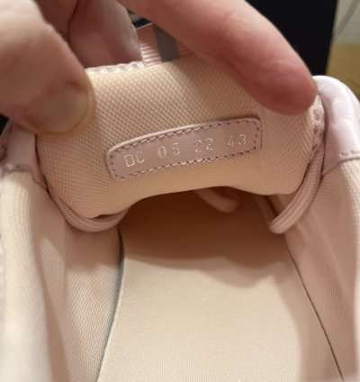 Dior B22 Sneaker Pink