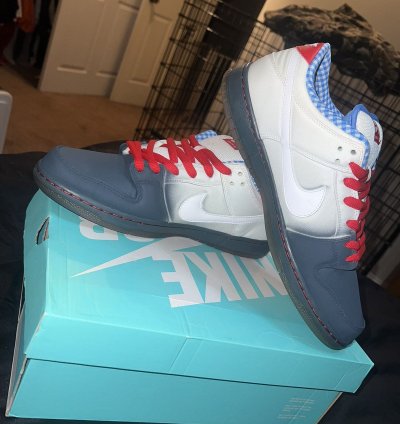 Nike Dunk Low Dorothy