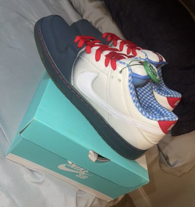 Nike Dunk Low Dorothy