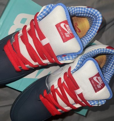 Nike Dunk Low Dorothy