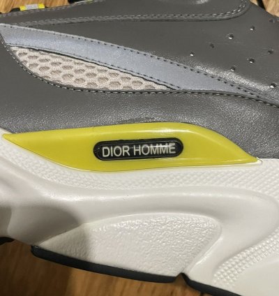 Dior B22 Sneaker Trainer
