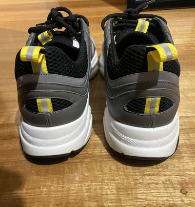 Dior B22 Sneaker Trainer