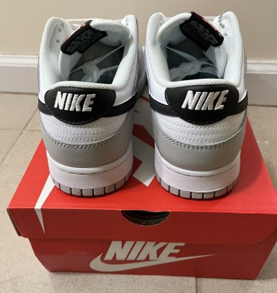 Nike Dunk Low Lottery Pack