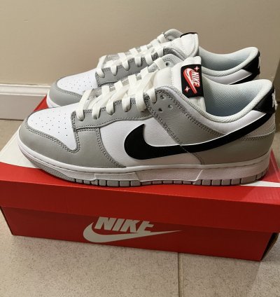 Nike Dunk Low Lottery Pack