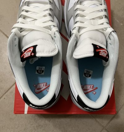 Nike Dunk Low Lottery Pack