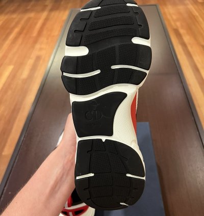 Dior B22 Sneakers Brand New