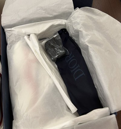 Dior B22 Sneakers Brand New