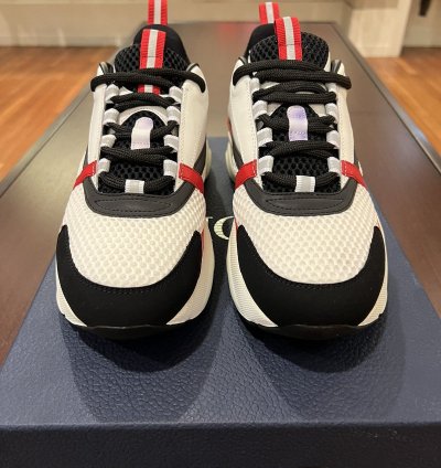Dior B22 Sneakers Brand New