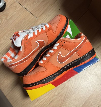 Nike Dunk Low Sb Orange Lobster