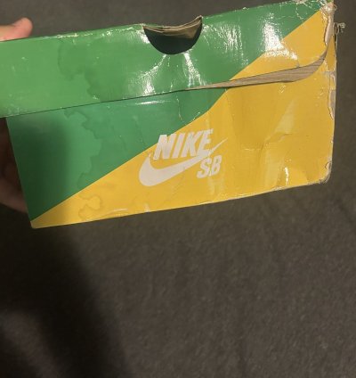 Nike Dunk Sb Streethawker