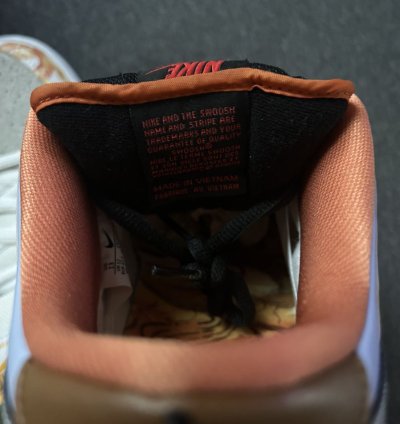 Nike Dunk Sb Streethawker