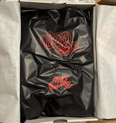 sealed Wizard Of Oz Nike Sb Dunk Low Pro Woo Qs Size 11