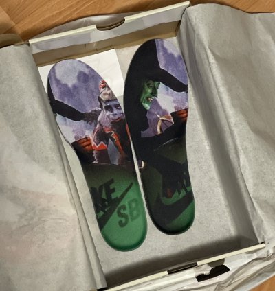 sealed Wizard Of Oz Nike Sb Dunk Low Pro Woo Qs Size 11