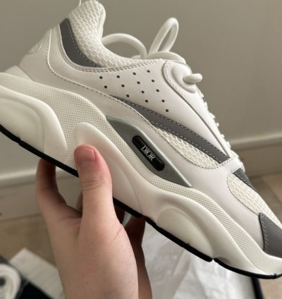 Dior B22 White Silver
