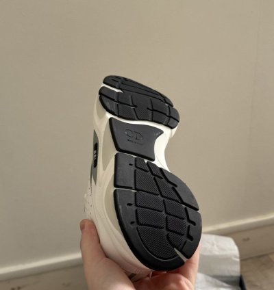 Dior B22 White Silver