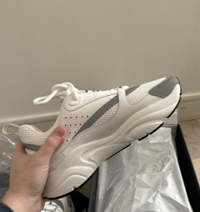 Dior B22 White Silver