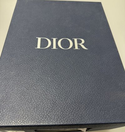 Dior B22 White Silver Sneakers 3sn231yjg