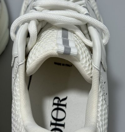 Dior B22 White Silver Sneakers 3sn231yjg