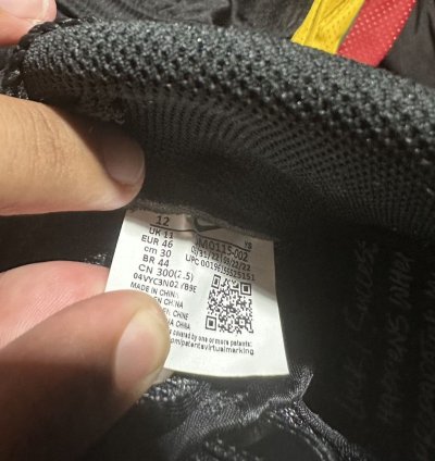 Nike Foamposite Dream World Black Size 12