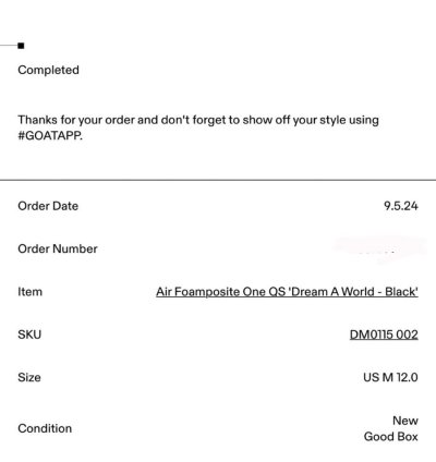 Nike Foamposite Dream World Black Size 12