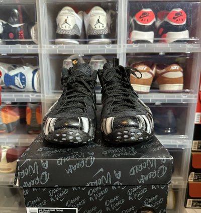 Nike Foamposite Dream World Black Size 12