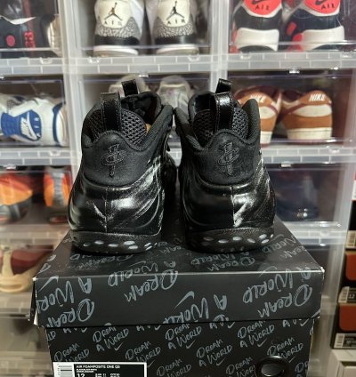 Nike Foamposite Dream World Black Size 12