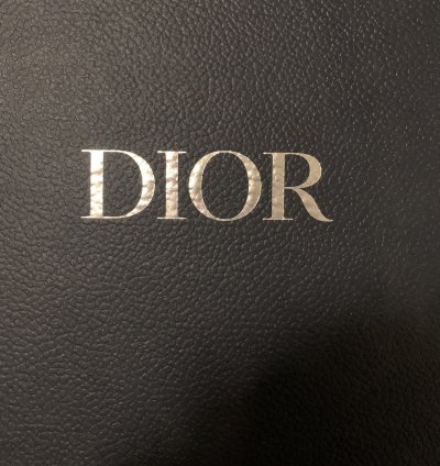 Dior B22s