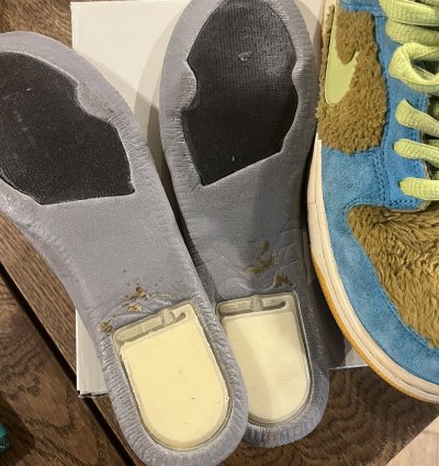 2006 Nike Sb Dunk Low Baby Bear