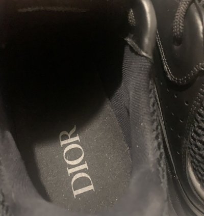 Dior B22s