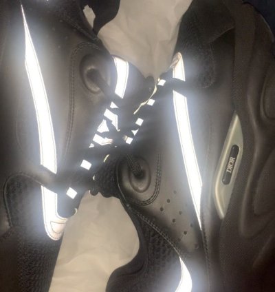 Dior B22s