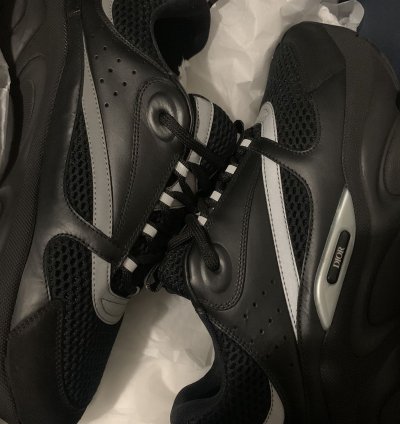 Dior B22s