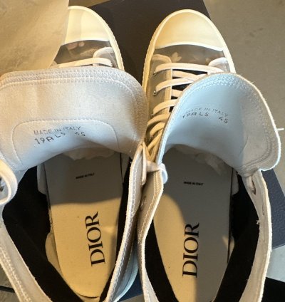 Dior B23 -rex High Tops
