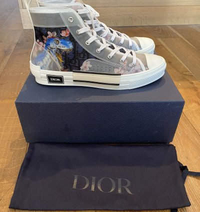 Dior B23 -rex High Tops