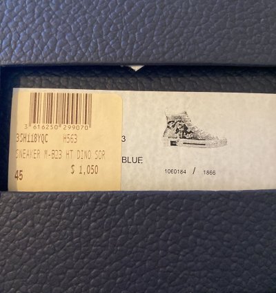 Dior B23 -rex High Tops