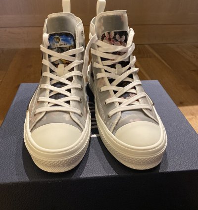 Dior B23 -rex High Tops