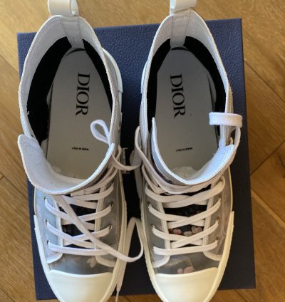 Dior B23 -rex High Tops