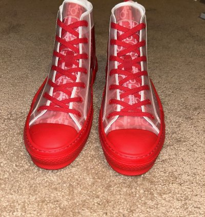 Dior B23 Hi-top Oblique Sneaker