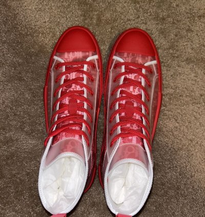 Dior B23 Hi-top Oblique Sneaker