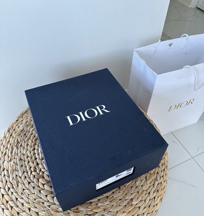 Dior B23 High Top