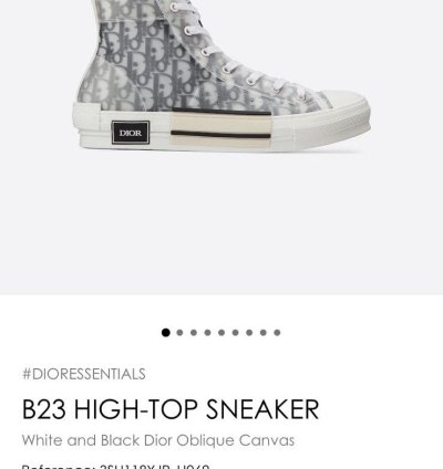 Dior B23 High Top Logo Oblique Size Eu 43 Us 10