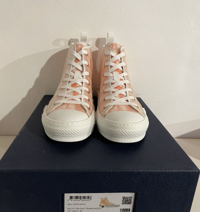 Dior B23 High Top Oblique Transparency